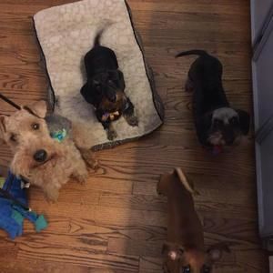 Meet your Posher, Susan